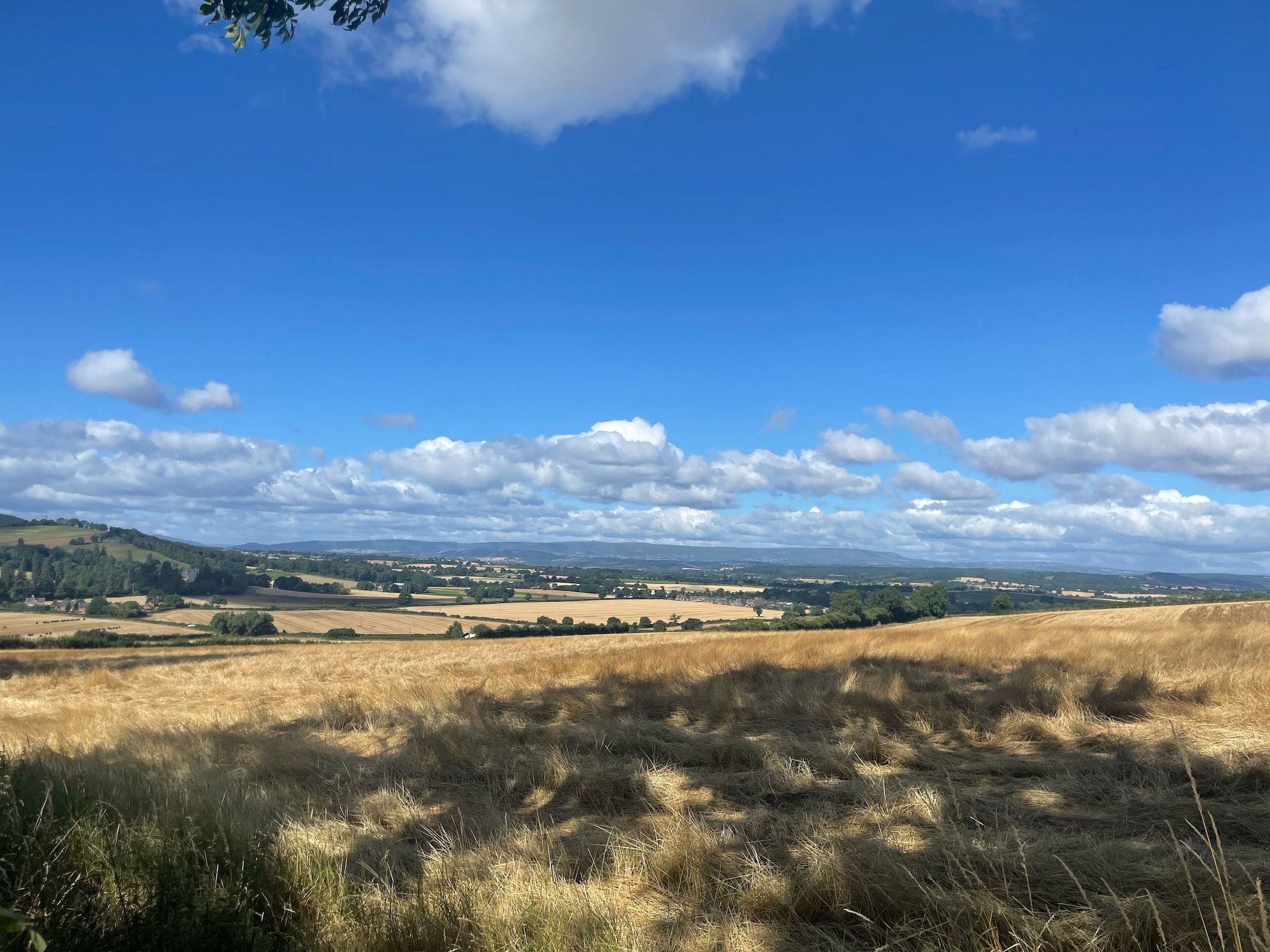 Outdoors view