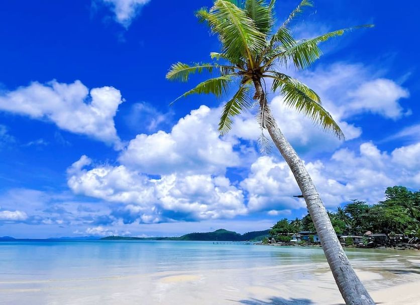 Beach Photo