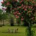 Outdoors view