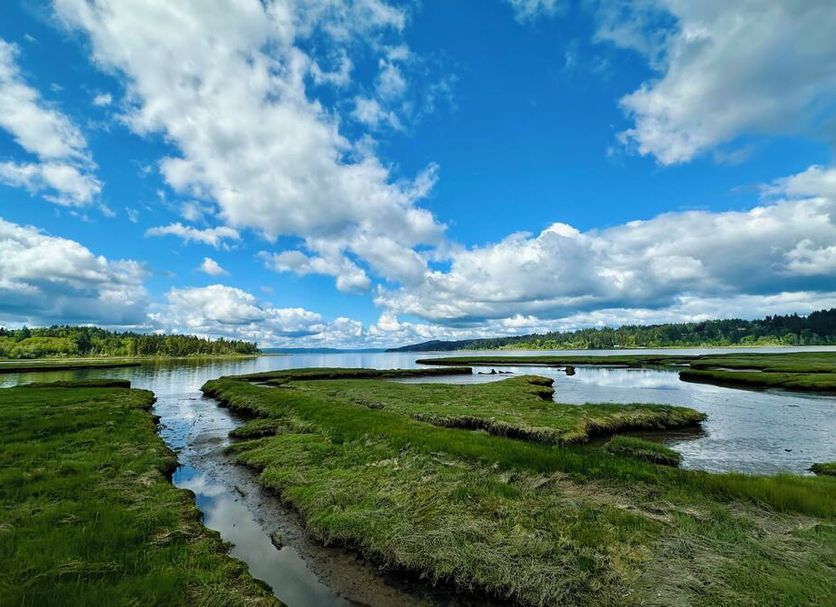 Outdoors view Photo