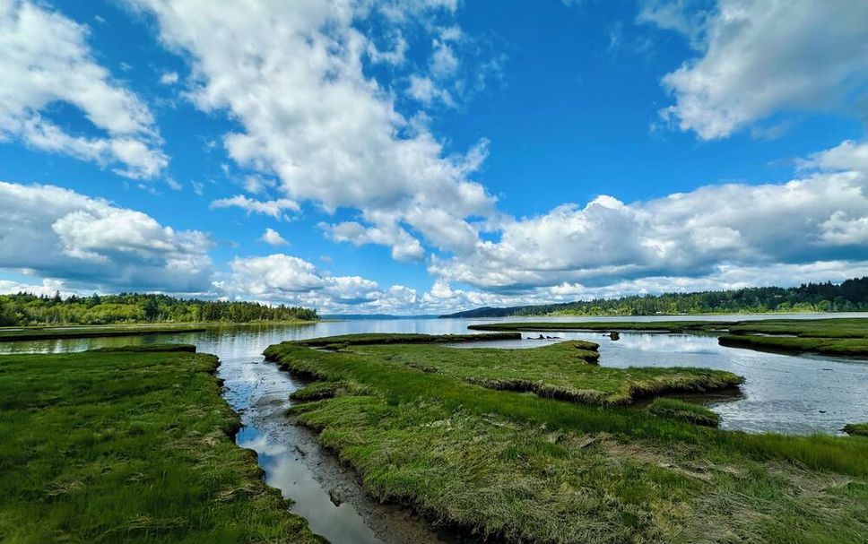 Outdoors view Photo