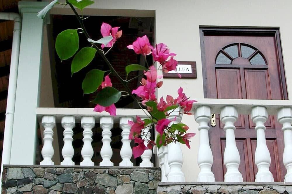 Outdoors view