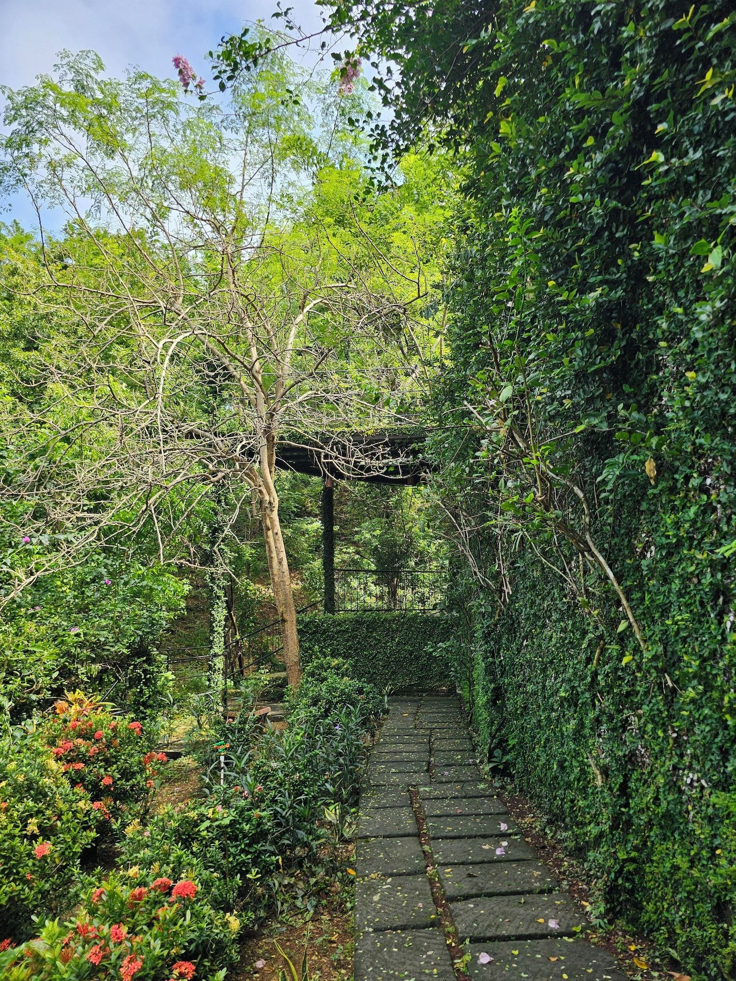 Outdoors view