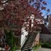 Outdoors view