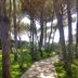 Outdoors view