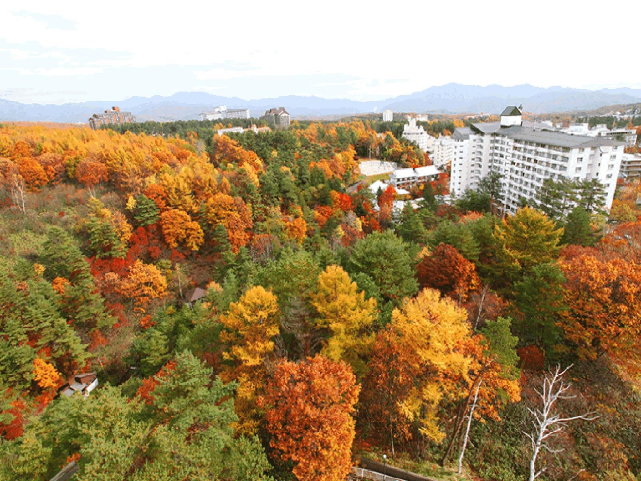 Outdoors view