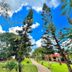 Outdoors view