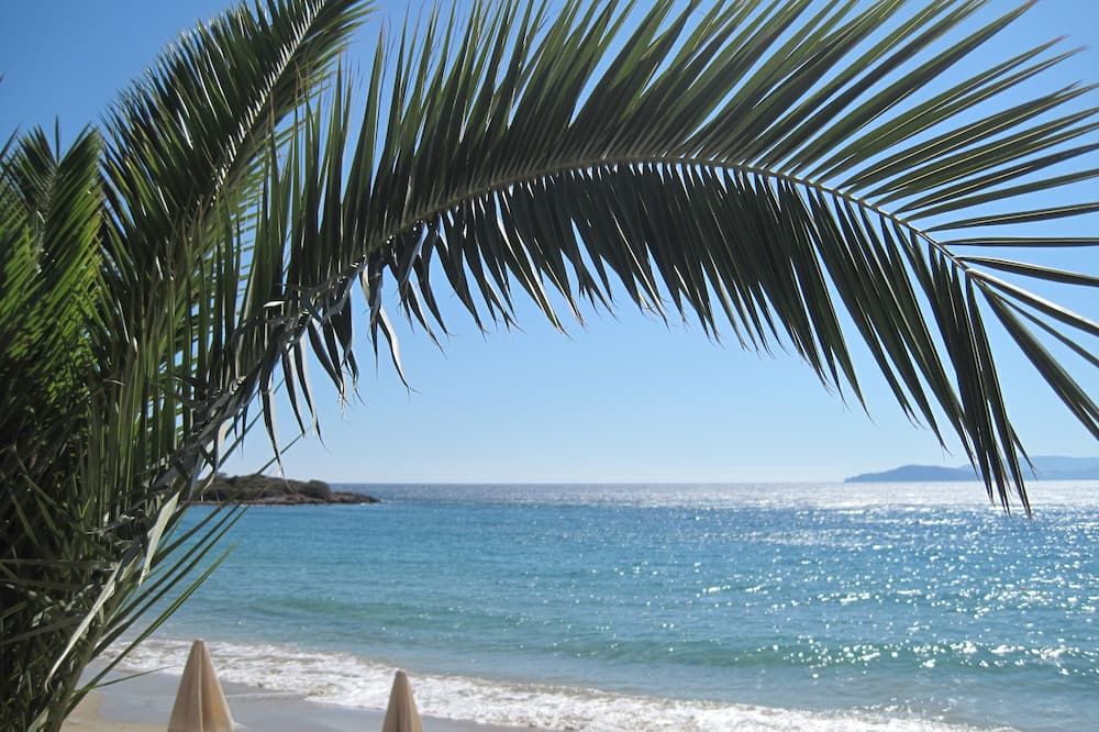 Beach Photo