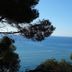 Outdoors view