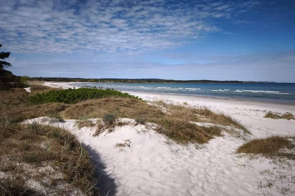 Beach Photo