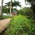 Outdoors view