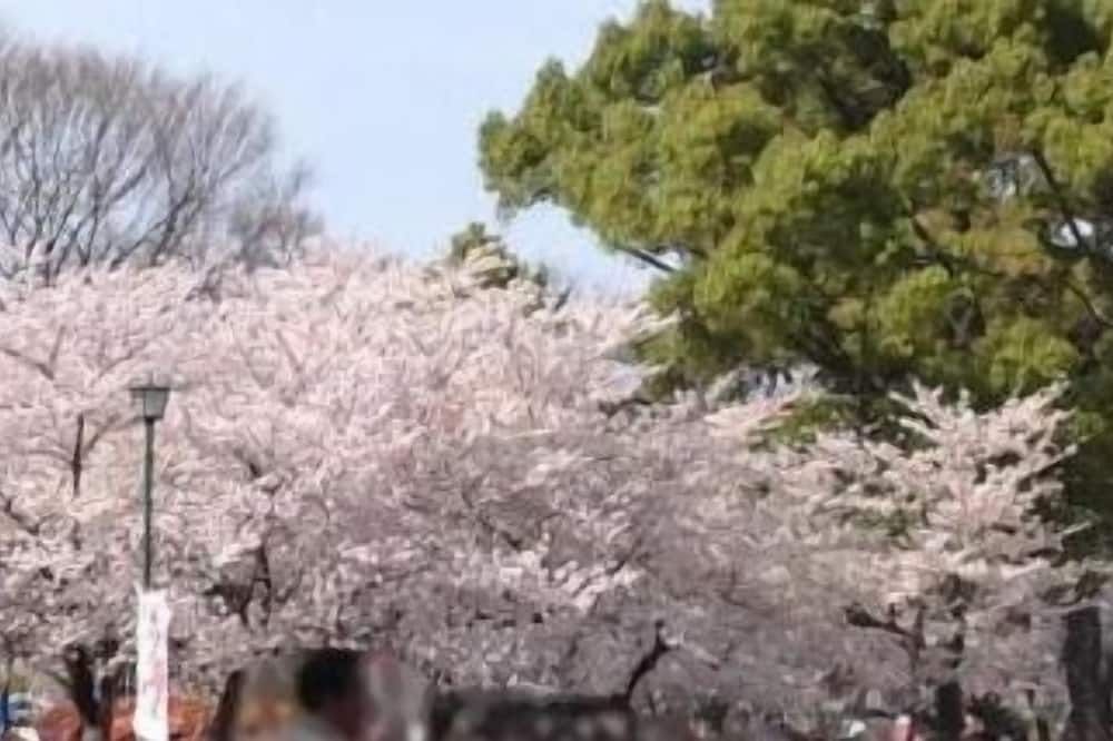 Other