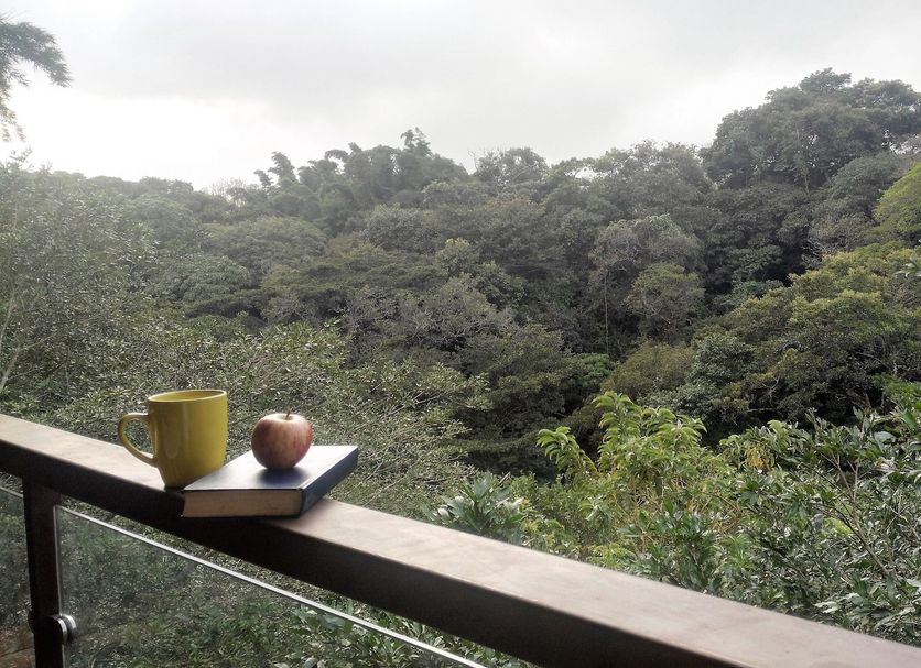 Outdoors view Photo