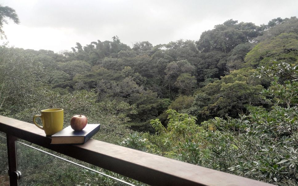 Outdoors view Photo