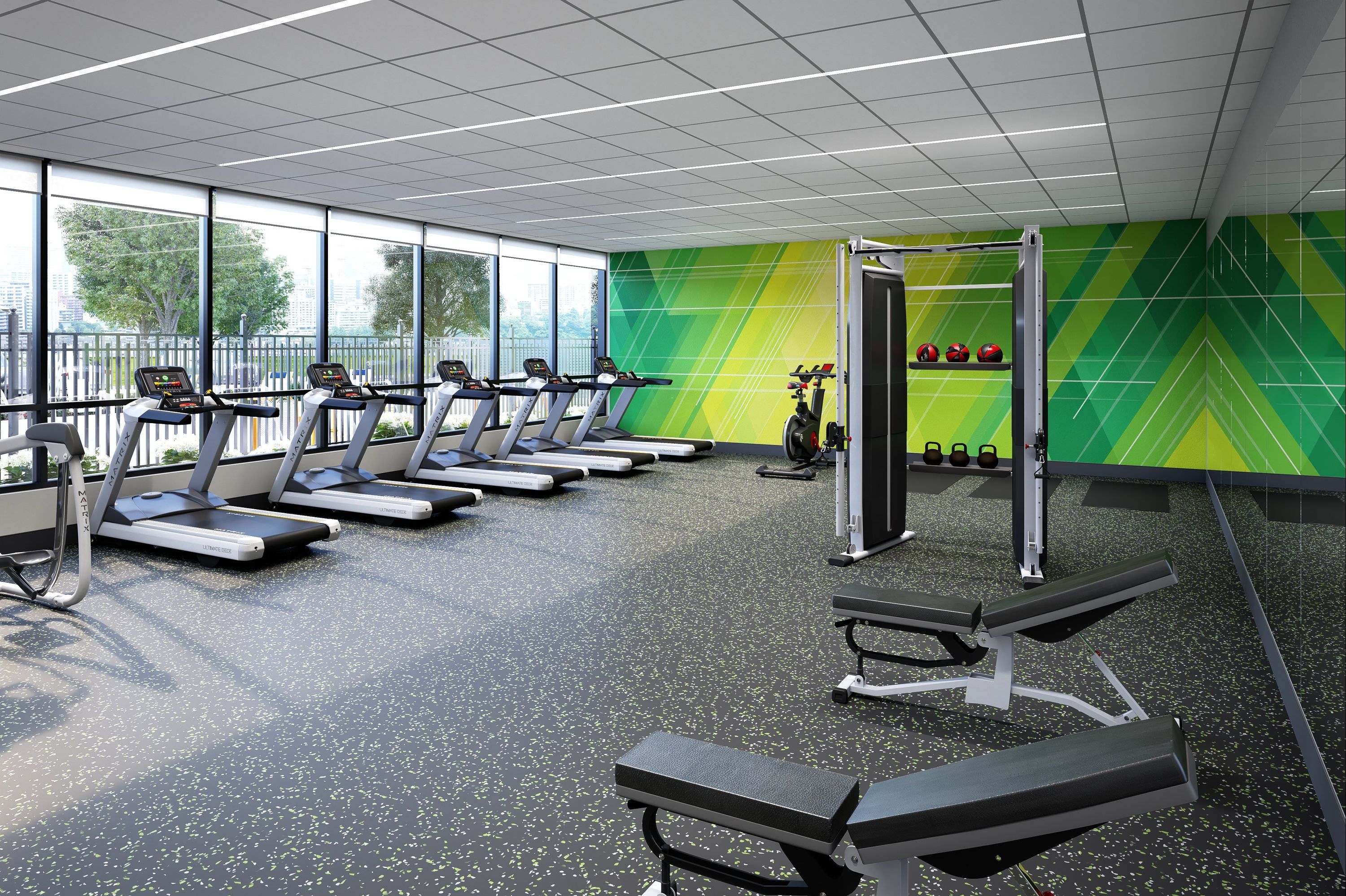 Gym