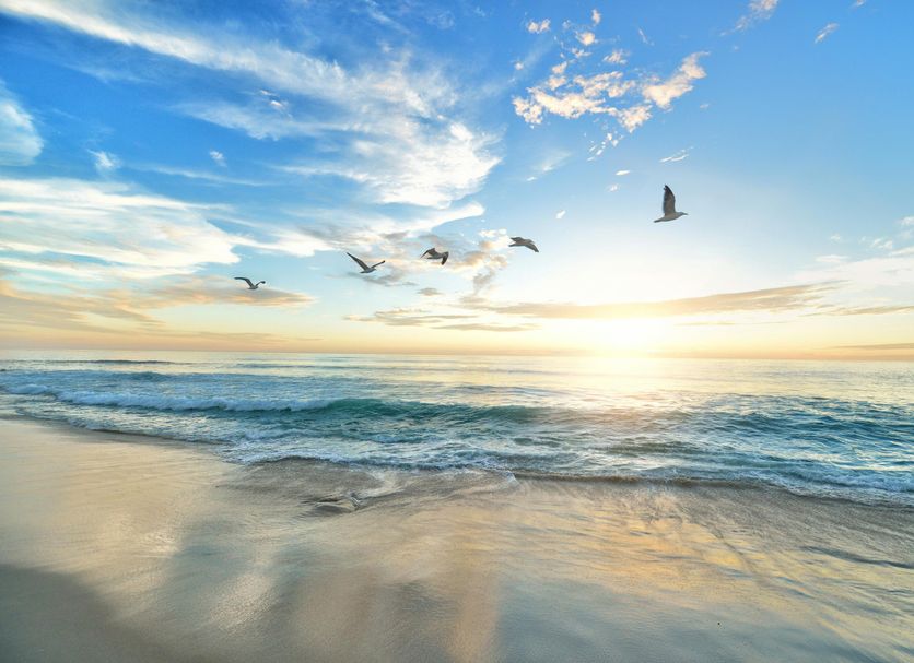Beach Photo