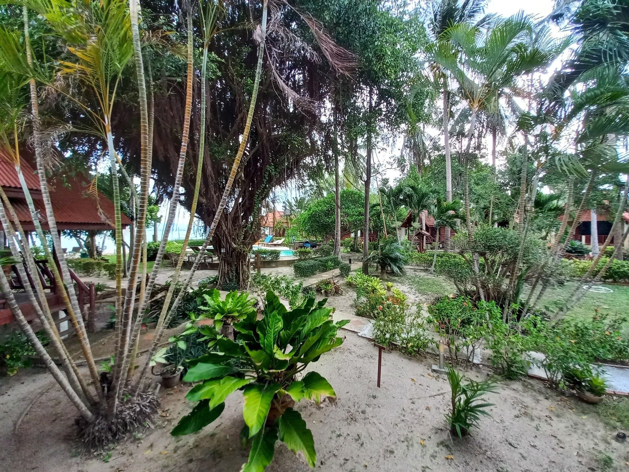 Outdoors view