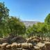 Outdoors view