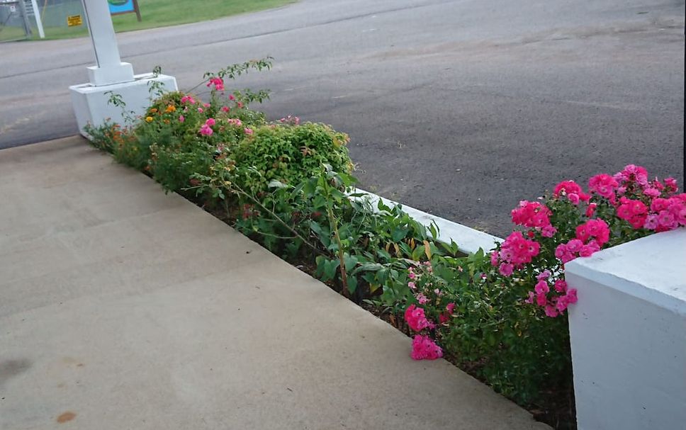 Outdoors view Photo