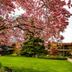 Outdoors view