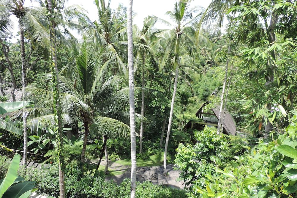 Outdoors view
