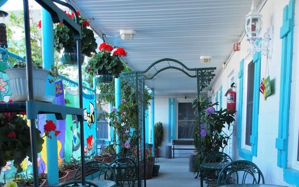 Patio Photo