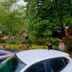 Outdoors view