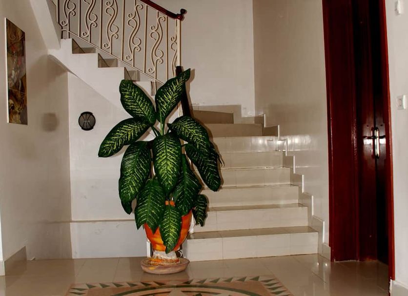 Stairs Photo