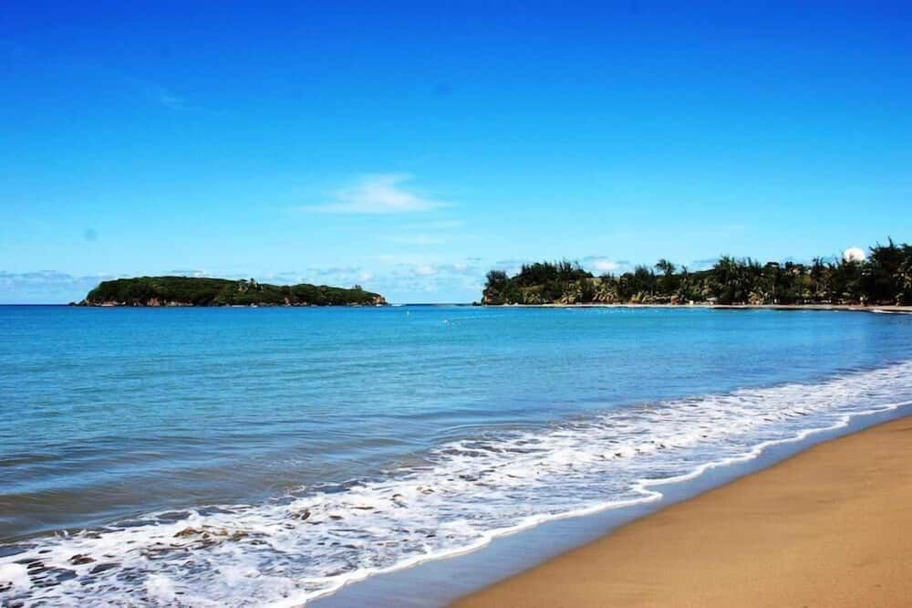 Beach Photo