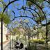 Outdoors view
