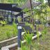 Outdoors view