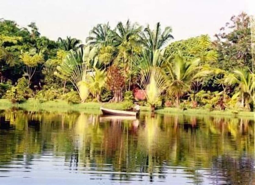 Outdoors view Photo