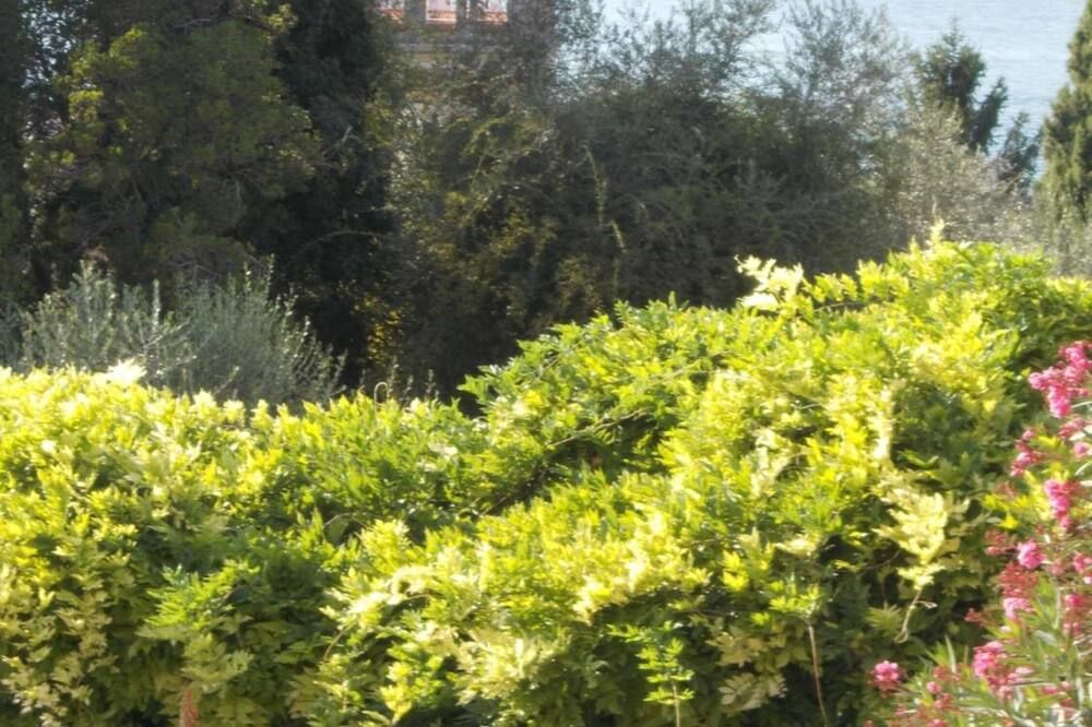 Outdoors view