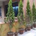 Outdoors view
