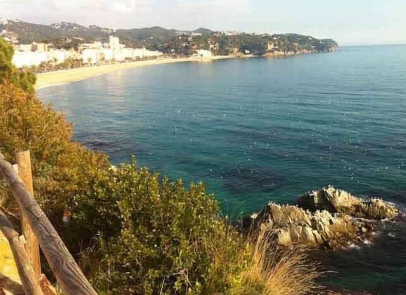 Other Photo