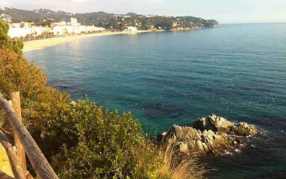 Other Photo