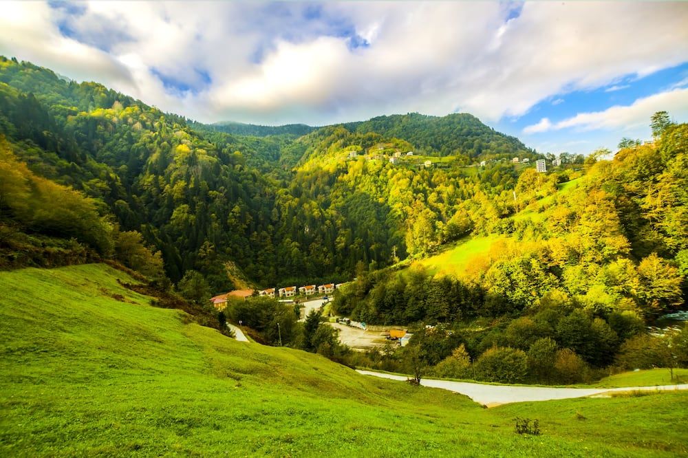 Outdoors view Photo