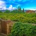 Outdoors view