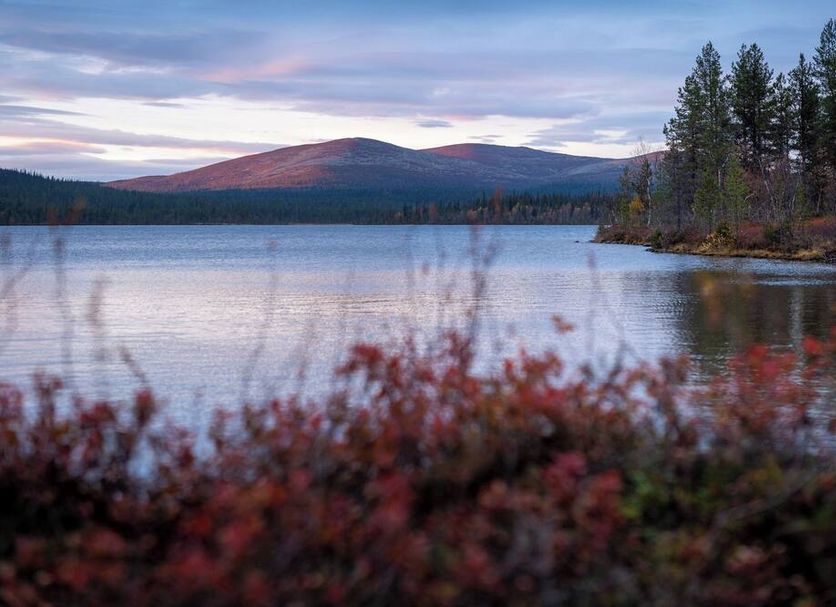 Outdoors view Photo