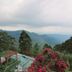 Outdoors view