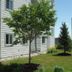 Outdoors view