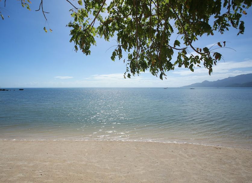 Beach Photo