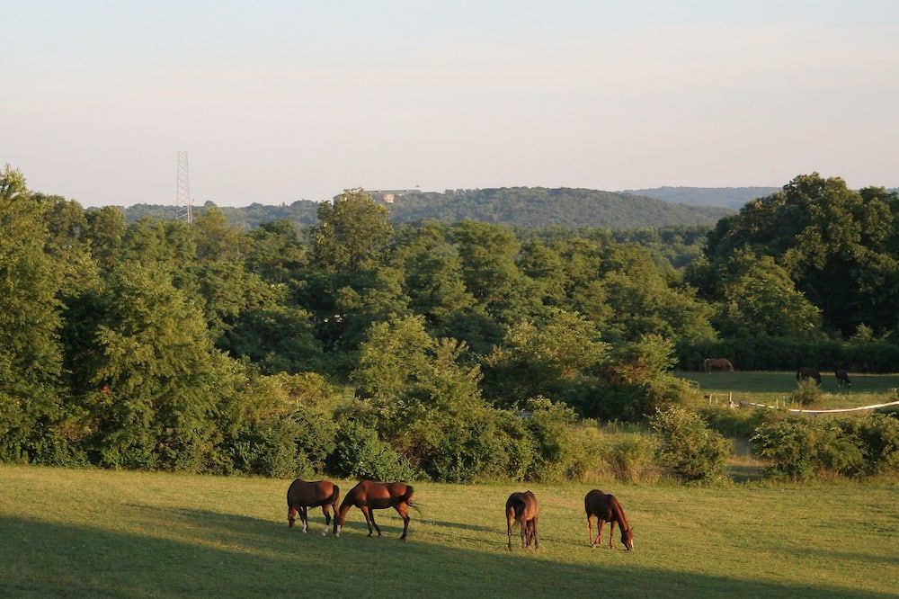 Outdoors view