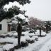 Outdoors view