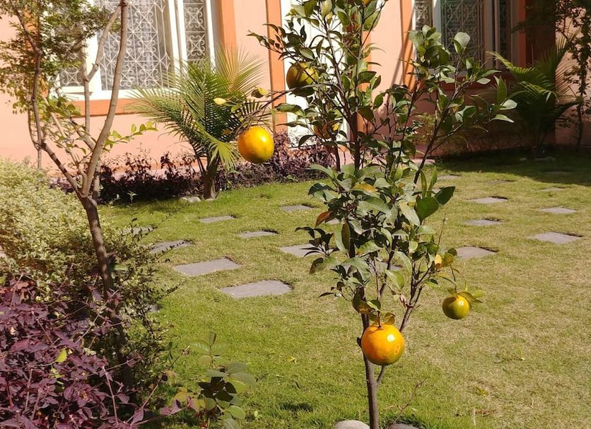 Outdoors view Photo