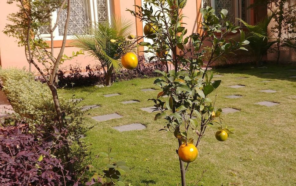 Outdoors view Photo