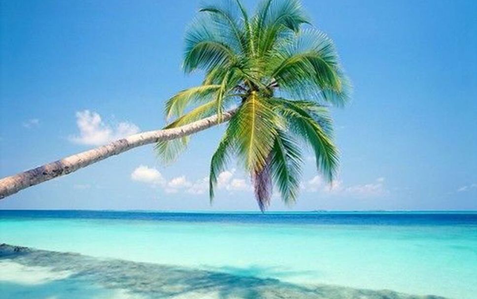 Beach Photo