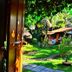 Outdoors view