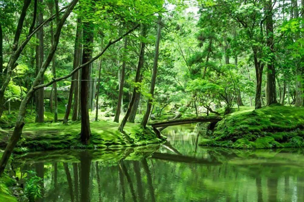 Outdoors view