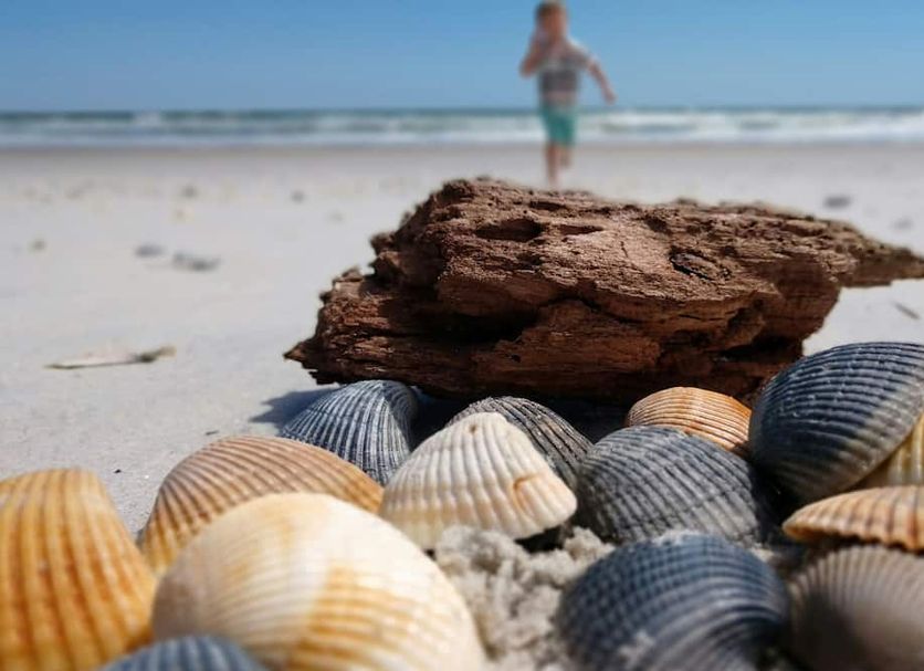 Beach Photo